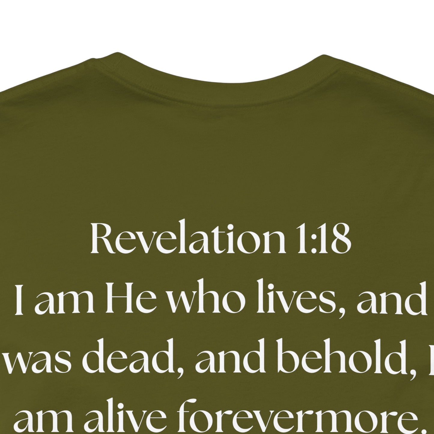 "GOD DID"  (WL) Jesus/Lion Profile