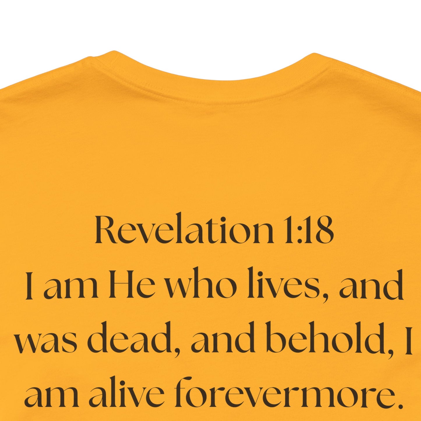 "GOD DID" —(BL) Jesus/Lion Profile