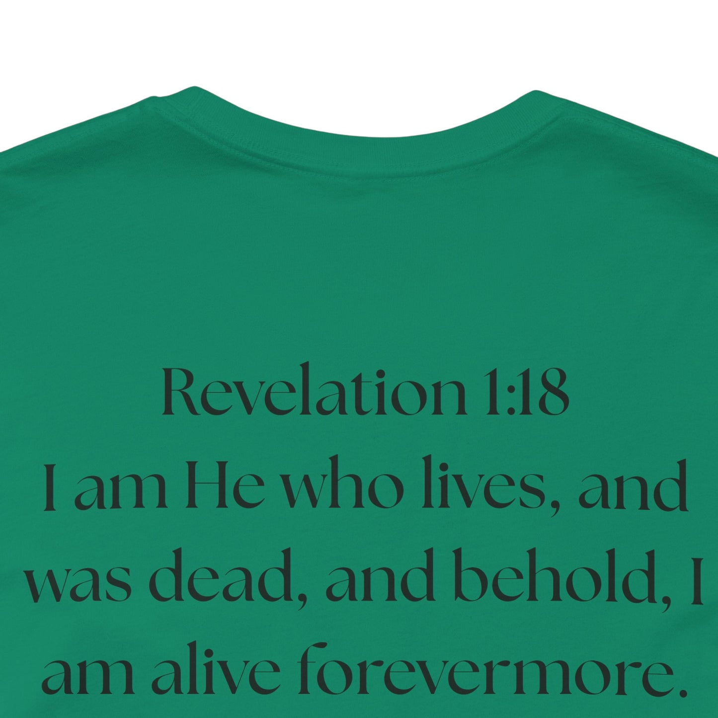 "GOD DID" —(BL) Jesus/Lion Profile