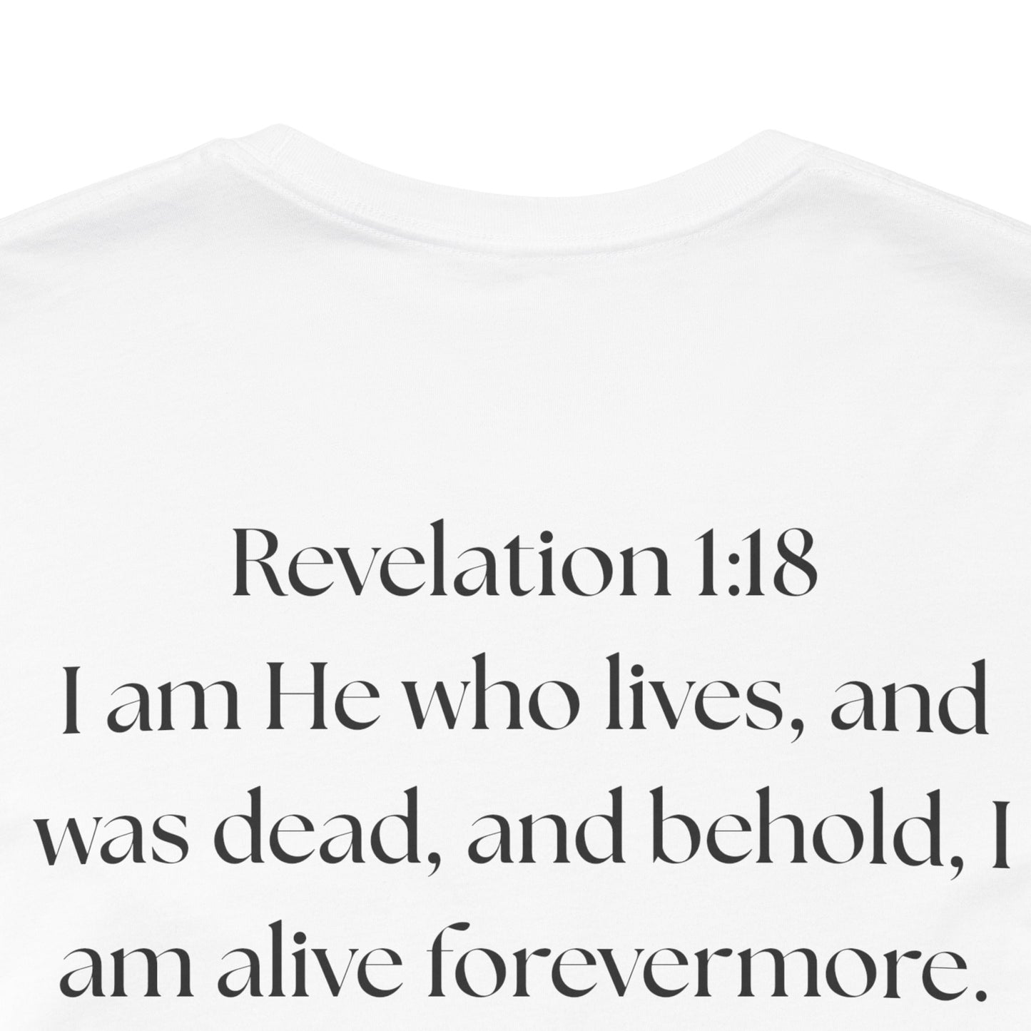 "GOD DID" —(BL) Jesus/Lion Profile