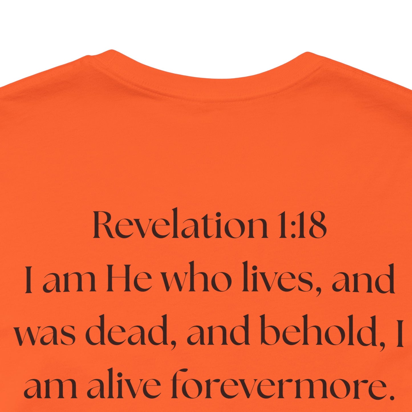 "GOD DID" —(BL) Jesus/Lion Profile